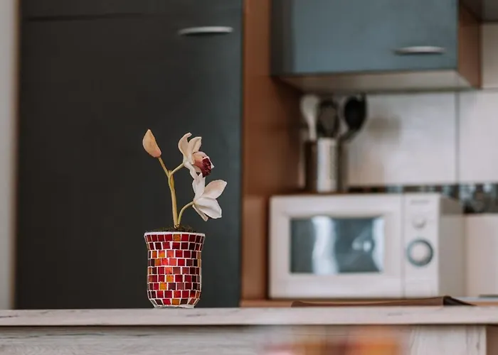 Garni Familie Gruber Han/Misafirhane 2*